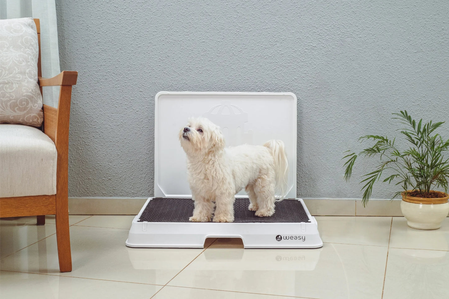 Smart Dog Potty