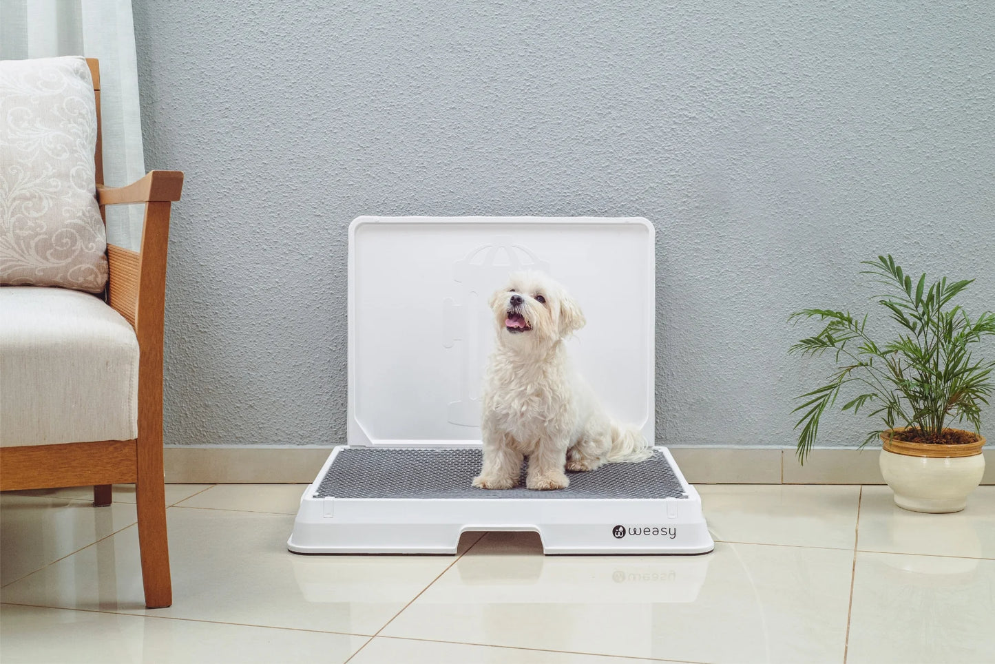 Smart Dog Potty