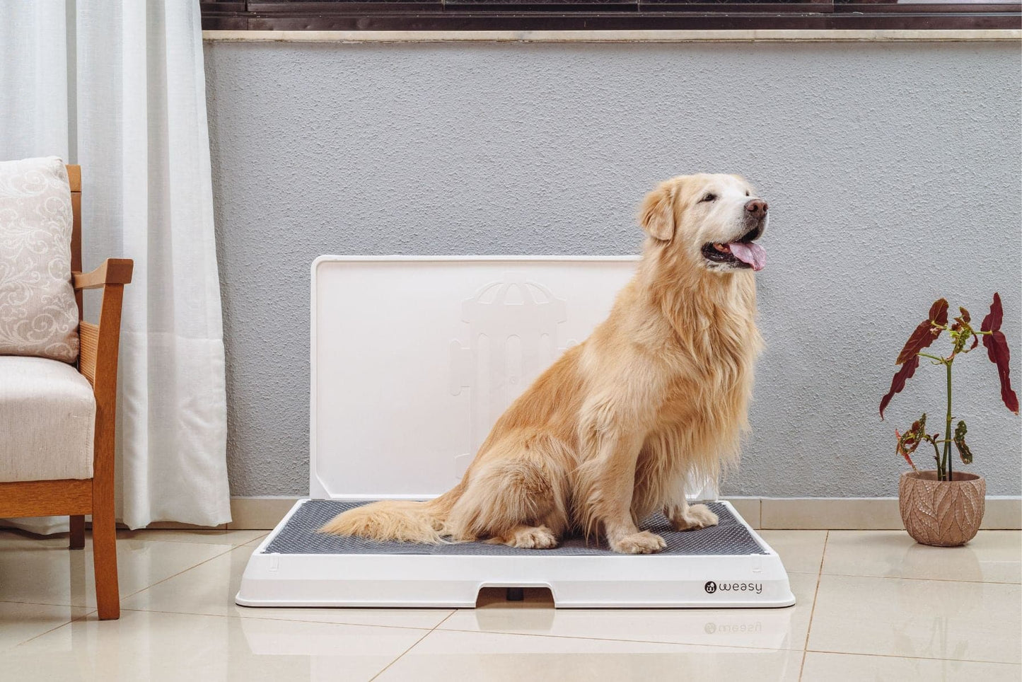 Smart Dog Potty