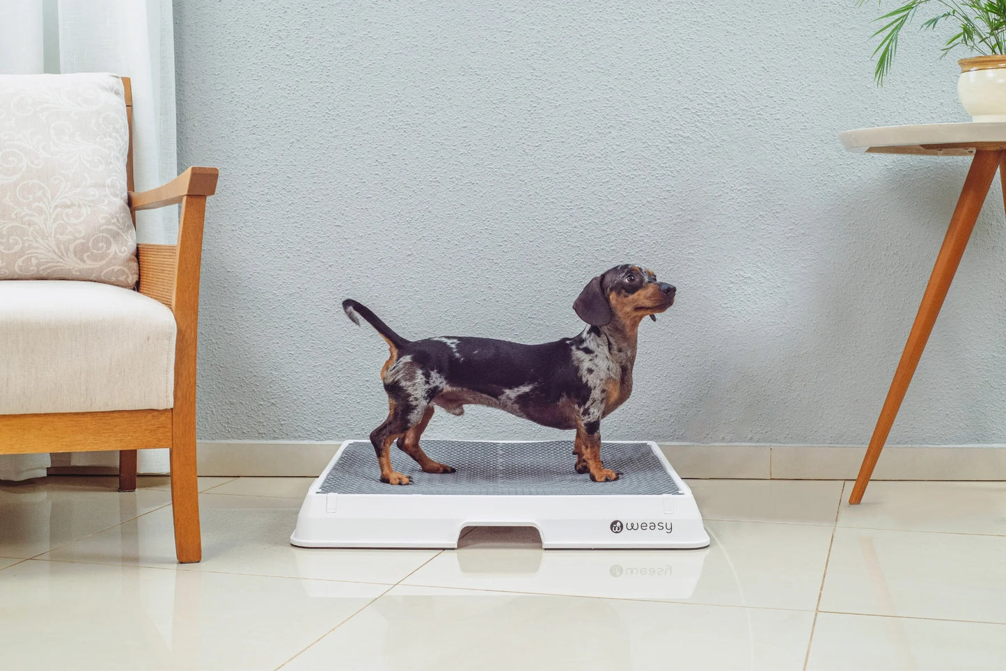 Smart Dog Potty