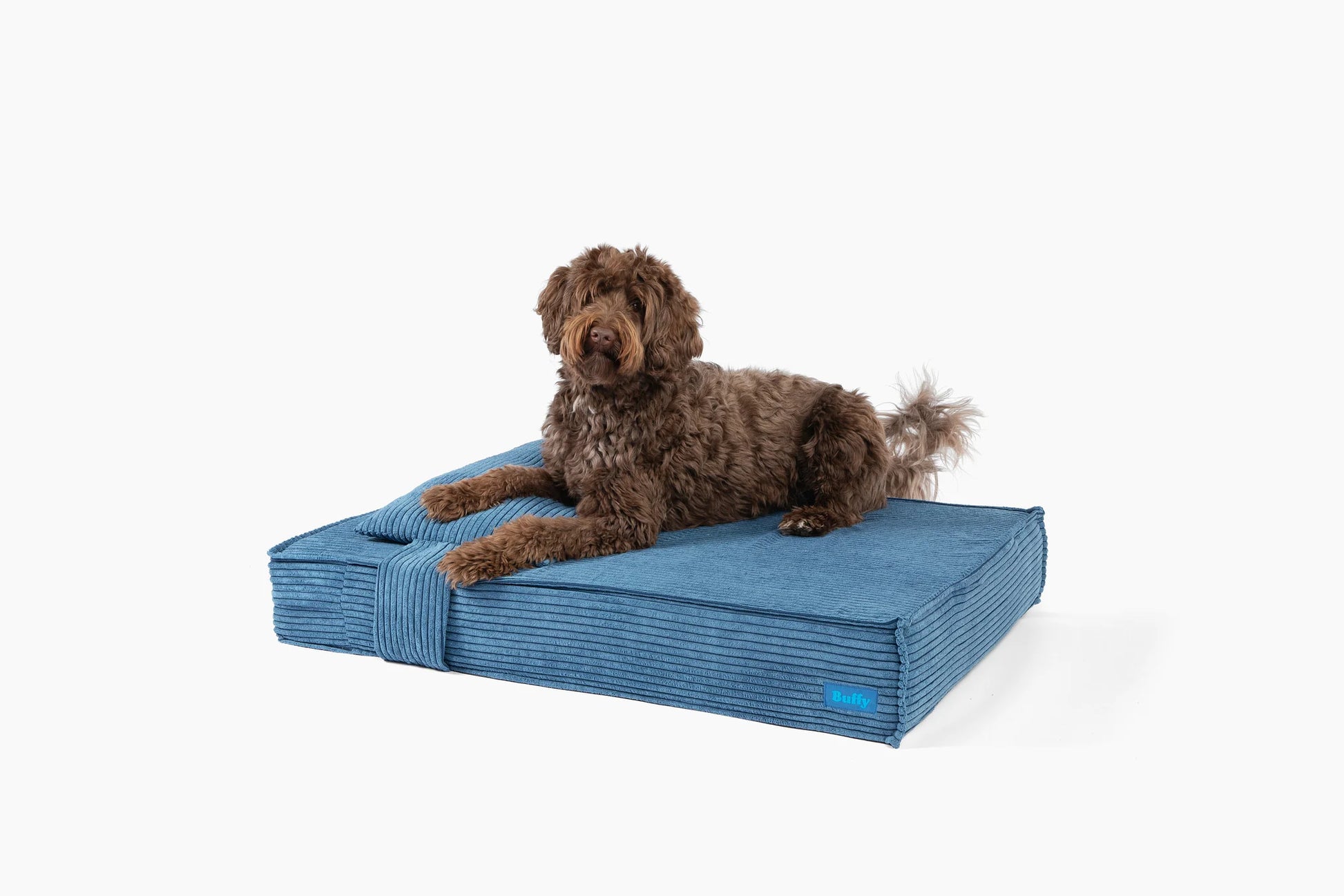 Orthopedic Pet Bed