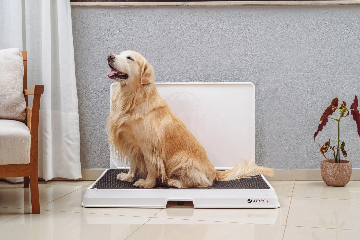 Smart Dog Potty