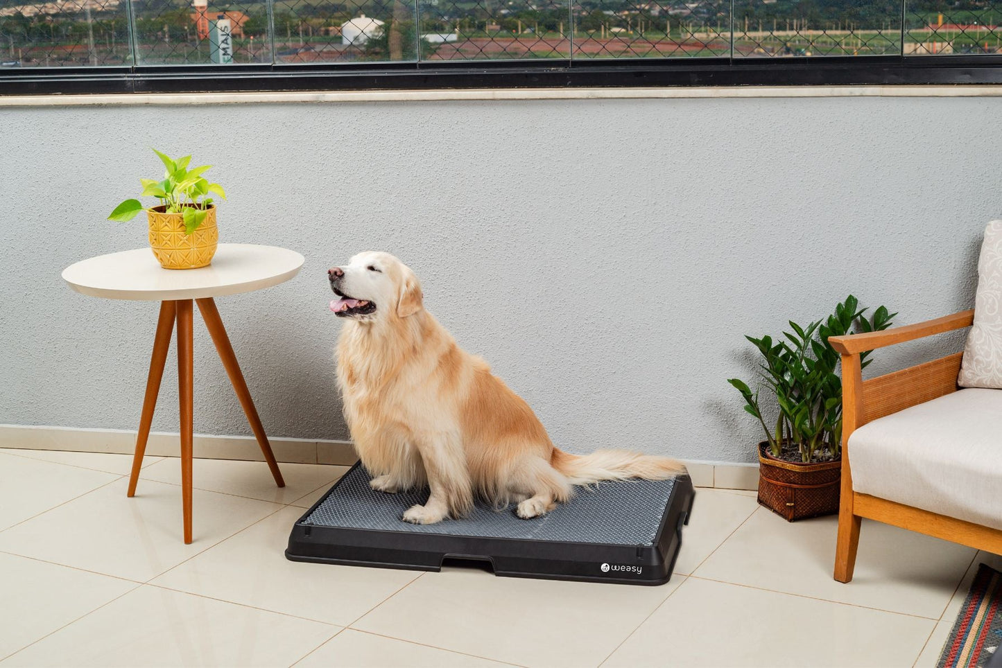 Smart Dog Potty