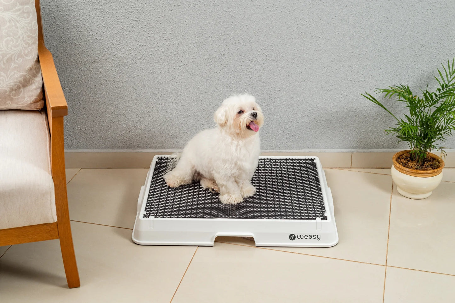 Smart Dog Potty