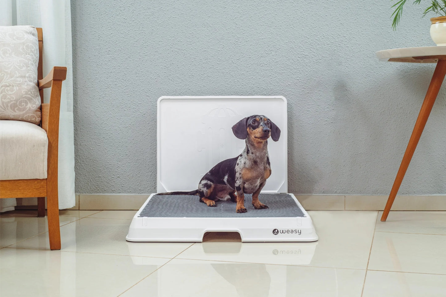 Smart Dog Potty