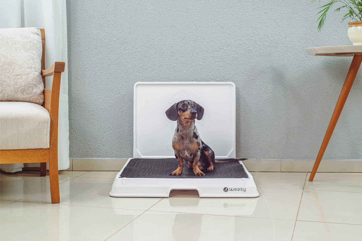 Smart Dog Potty